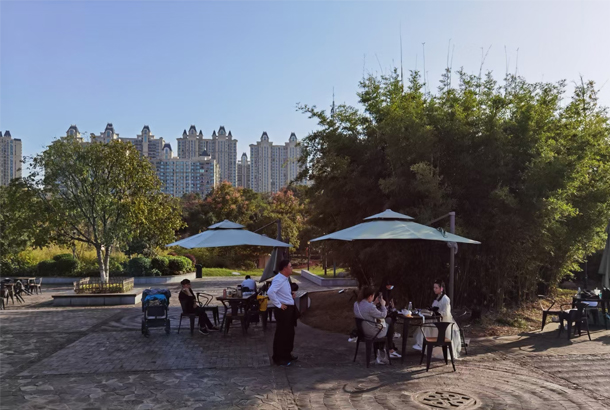 后院.jpg 后院.jpg