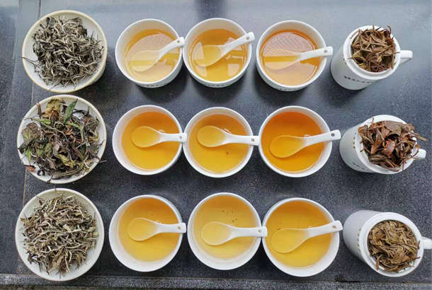 茶湯.jpg 茶湯.jpg