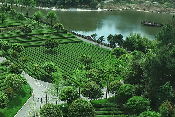 新聞長圖.jpg.png 新聞長圖.jpg.png