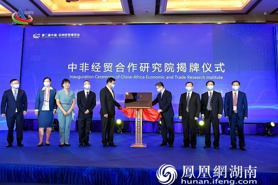 “新起點、新機遇、新作為”，湘豐桑植白茶亮相中國-非洲經貿博覽會