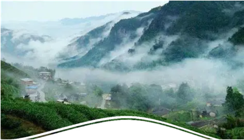 武夷山.png 武夷山.png