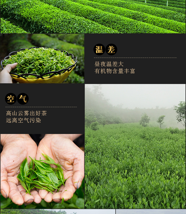 恩師伏詳情_(kāi)05.jpg