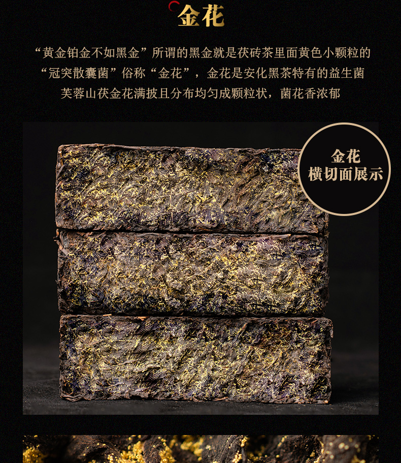 恩師伏詳情_(kāi)09.jpg