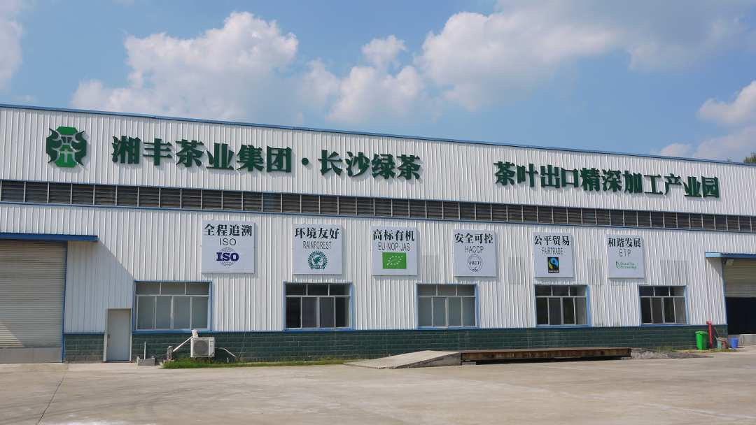 湘豐茶業集團獲“國貿基地”和“中國出口商品品牌”雙認證 湘豐茶業集團獲“國貿基地”和“中國出口商品品牌”雙認證