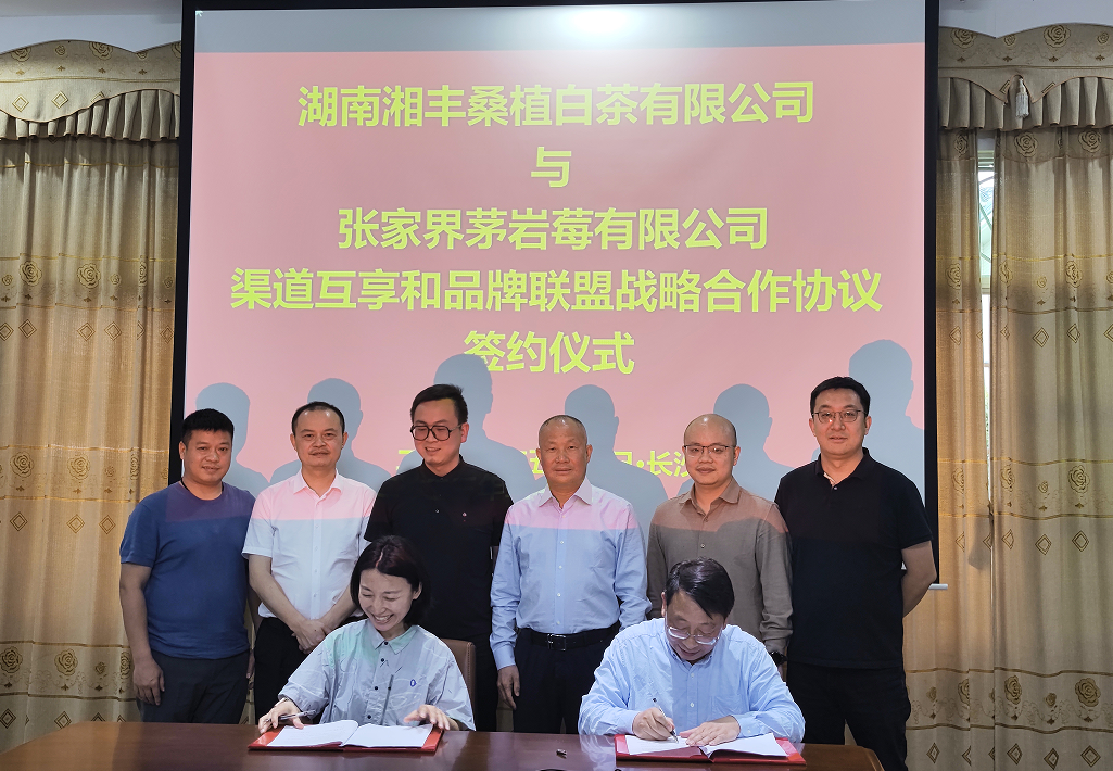 “白茶”“莓茶”牽手,品牌強強聯盟! “白茶”“莓茶”牽手,品牌強強聯盟!