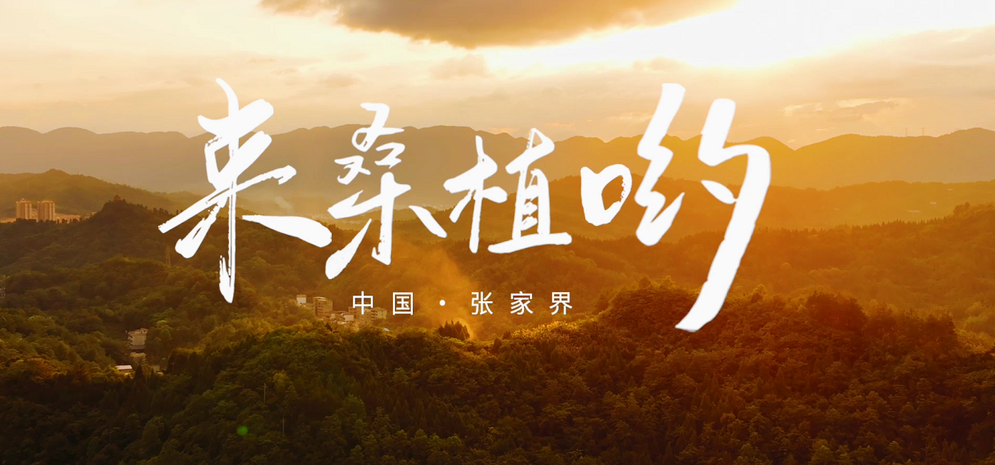 桑植推廣歌曲《來桑植喲》發布! 桑植推廣歌曲《來桑植喲》發布!