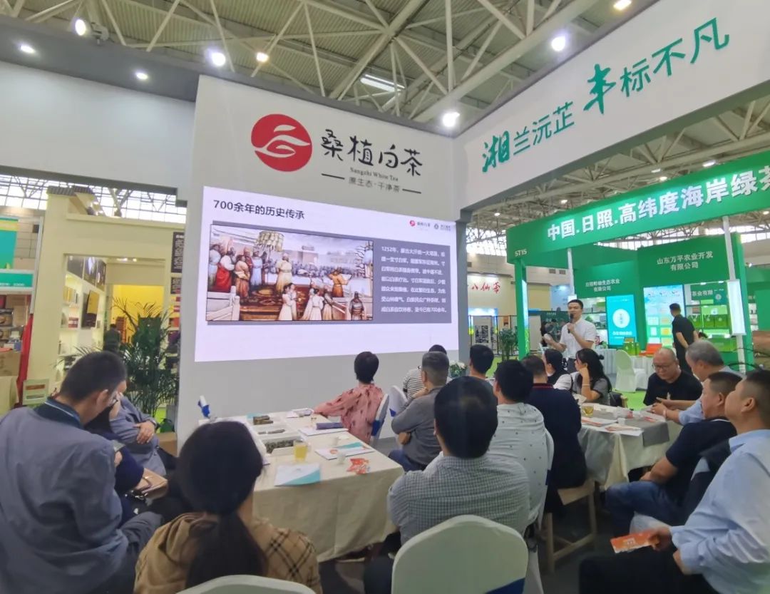 斬獲雙項金獎！湘豐桑植白茶閃耀第十屆中國茶葉博覽會