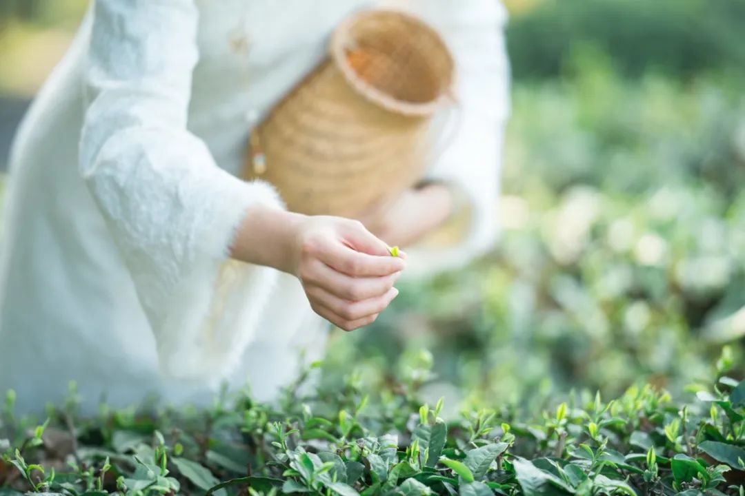 640 (1).jpg 640 (1).jpg