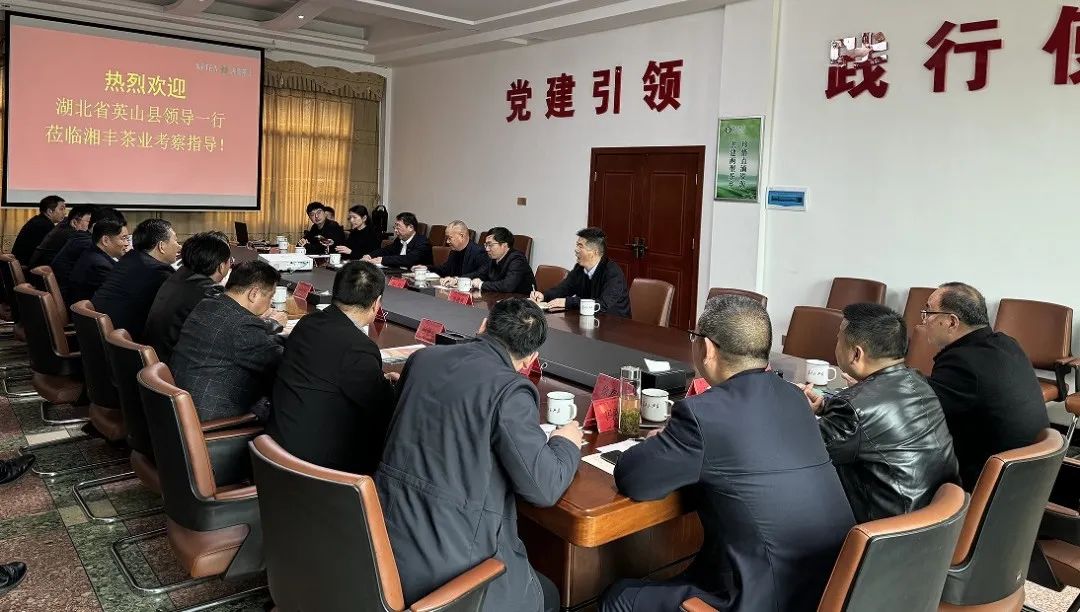 湖北省英山縣委書記鄭光文帶隊考察湘豐茶業集團